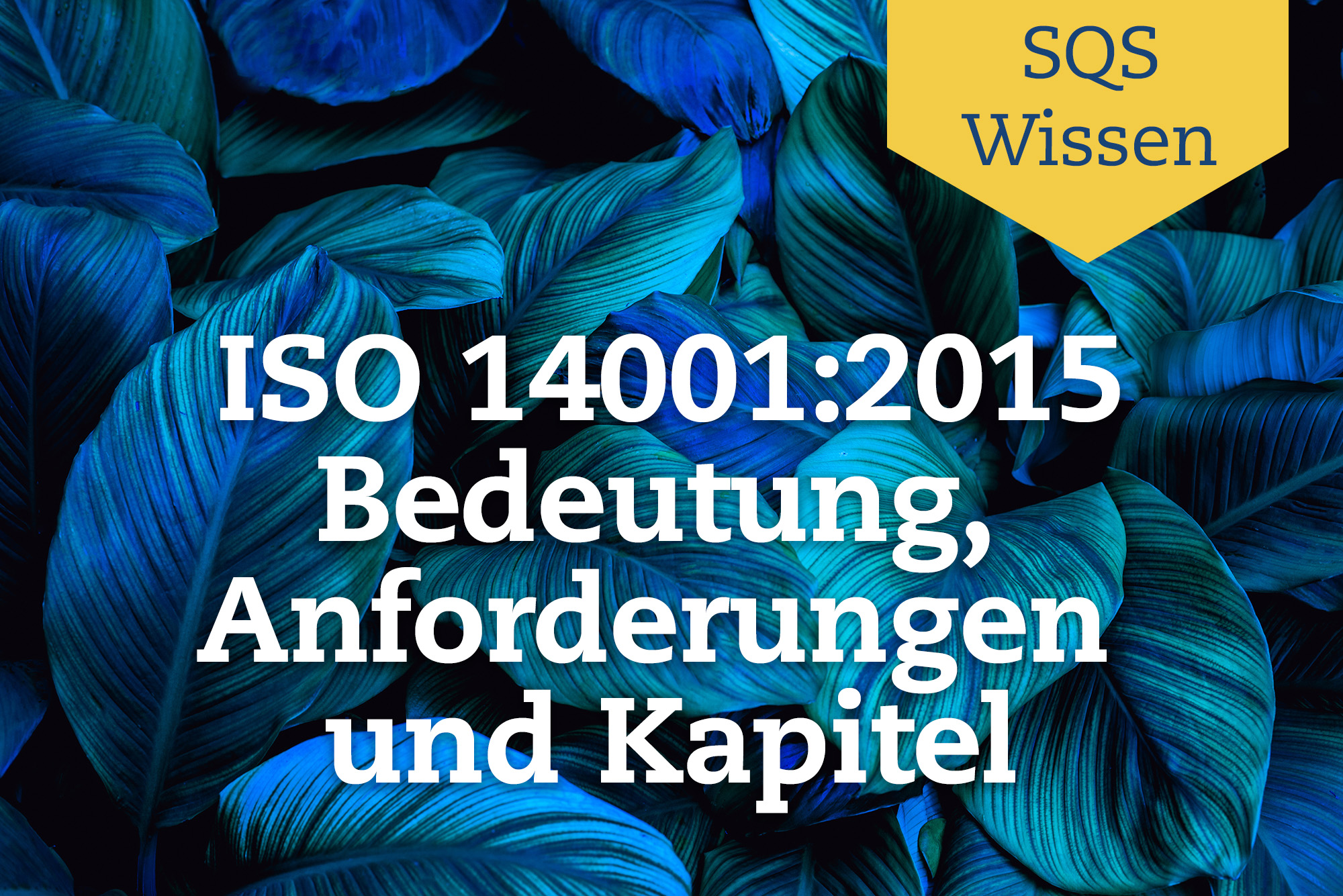 ISO 14001 2015 – Bedeutung, Anforderungen und Kapitel