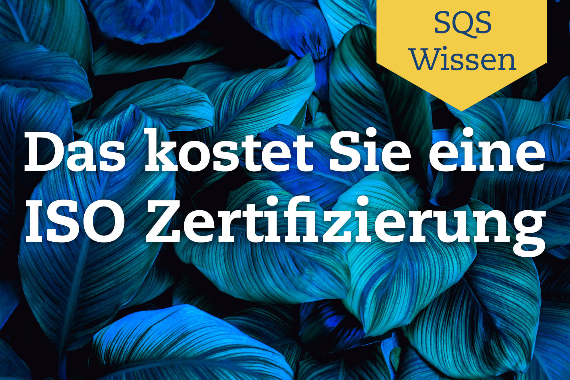 Die Kosten einer ISO Zertifizierung