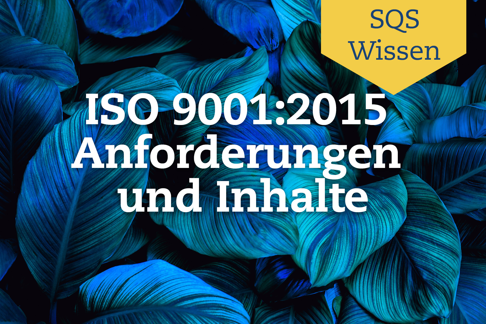 ISO 9001 2015 - Anforderungen und Inhalte auf einen Blick