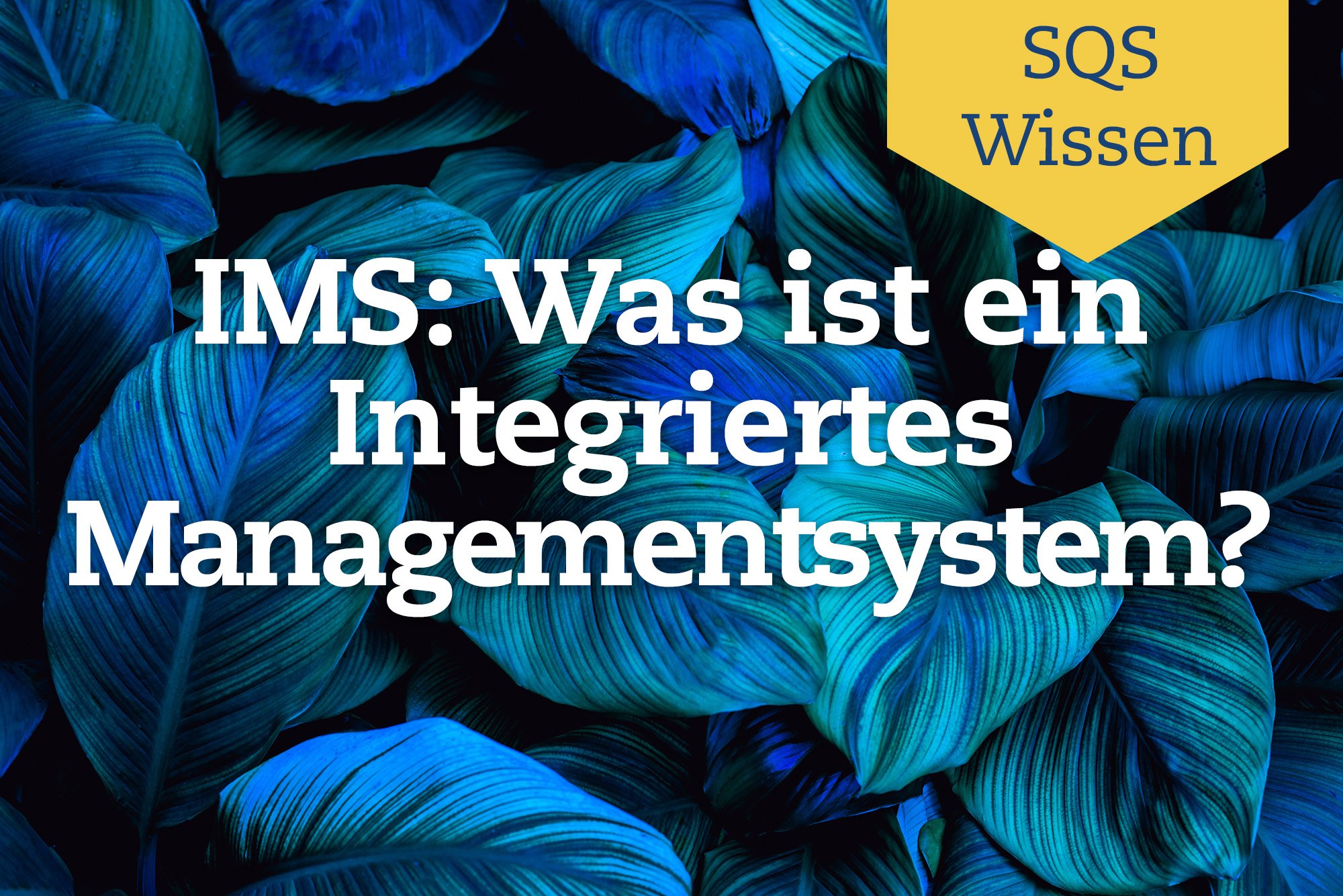 IMS - Integrierte Managementsysteme