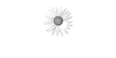 Kundenlogo-implenia-01.png