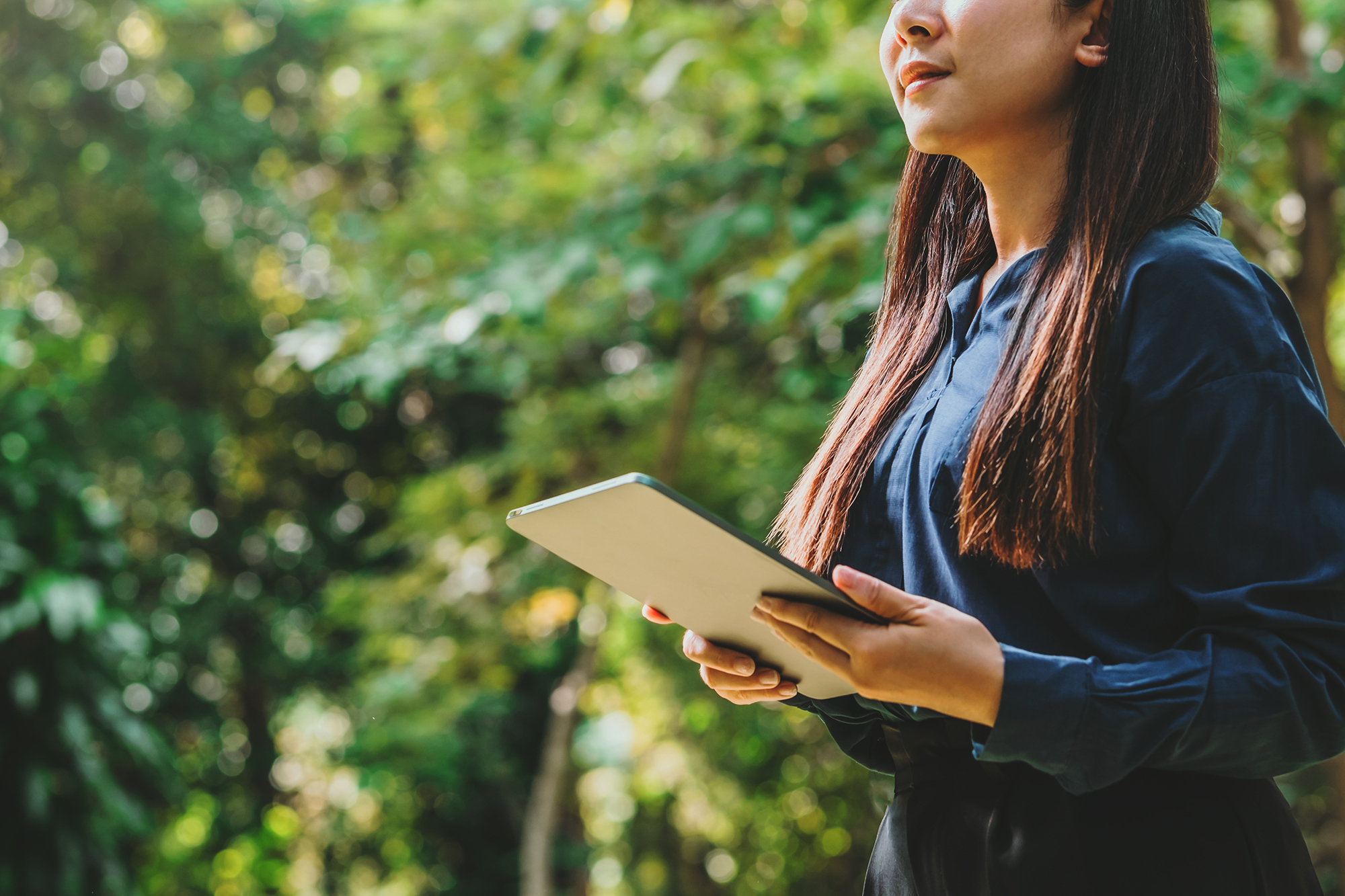 «Anpassungsstrategien an den Klimawandel. Referenzstandards, Methoden und Instrumente»