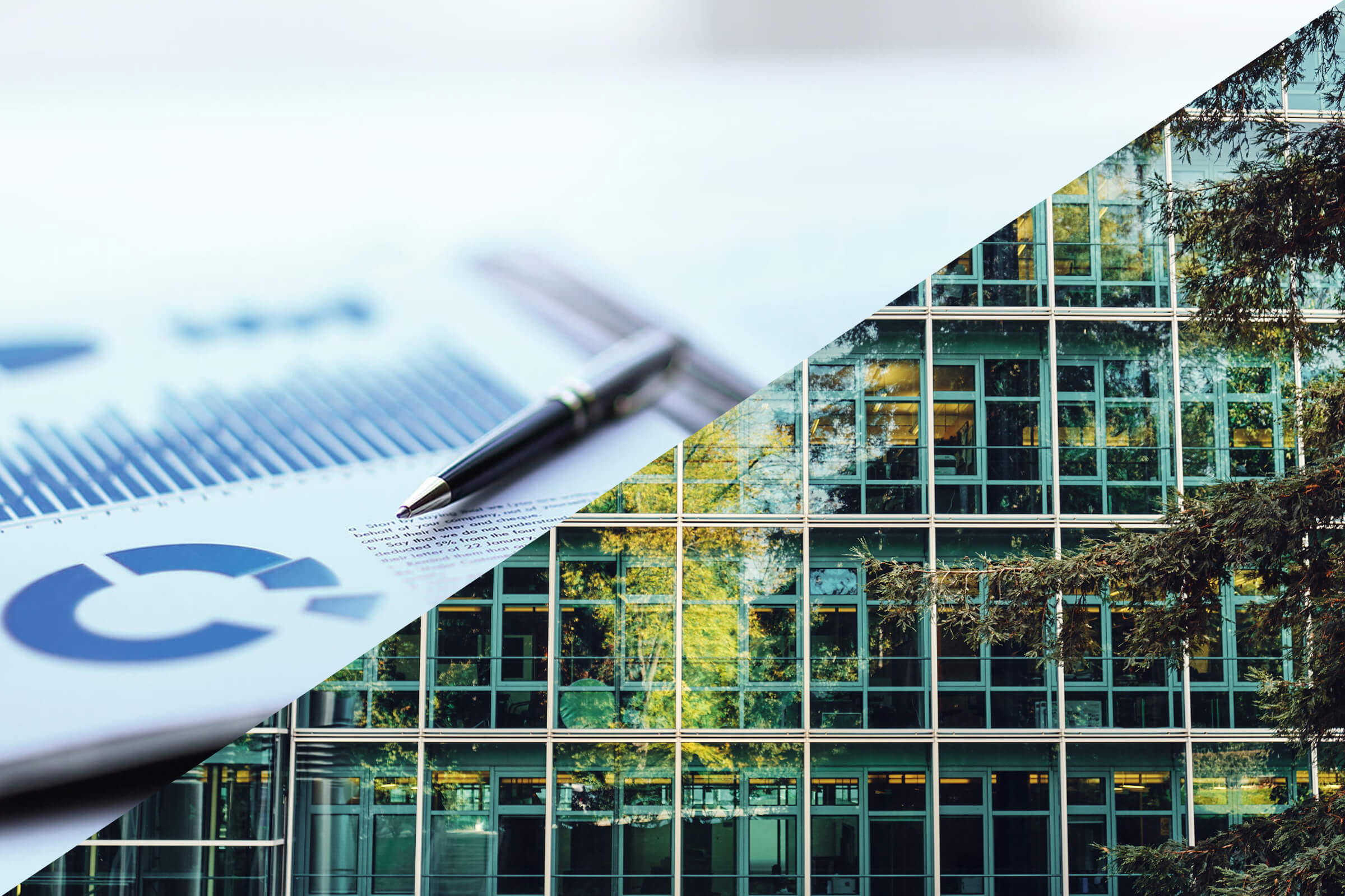 Bewertung und Berichterstattung Wesentlichkeitsanalysen