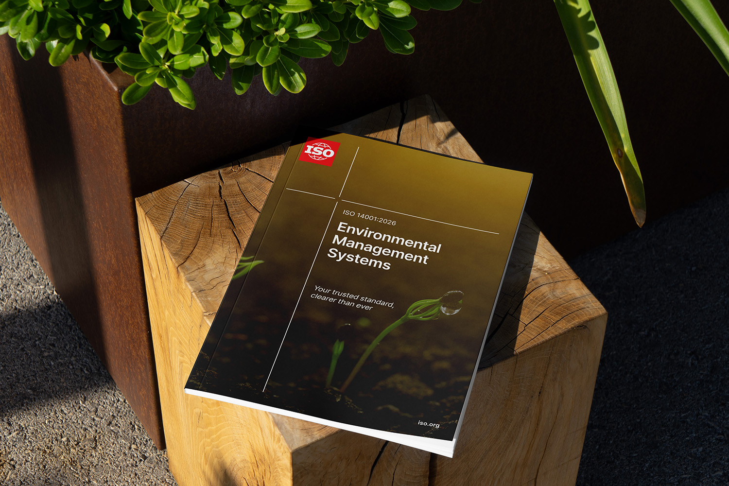 titelbild_februar_omnibus_2026