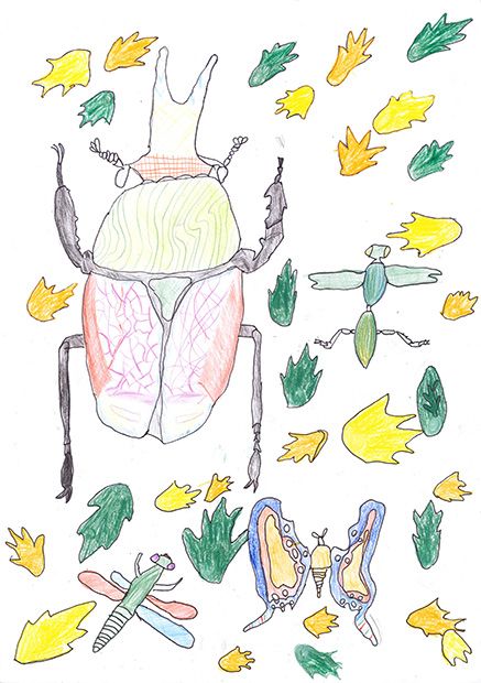 Forum Biodiversität Schweiz Gewinner-Zeichnung, Bild Sonderpreis Forum Biodiversität, 10 bis 12 Jahre, Umwelt-Zeichnungswettbewerb 2019